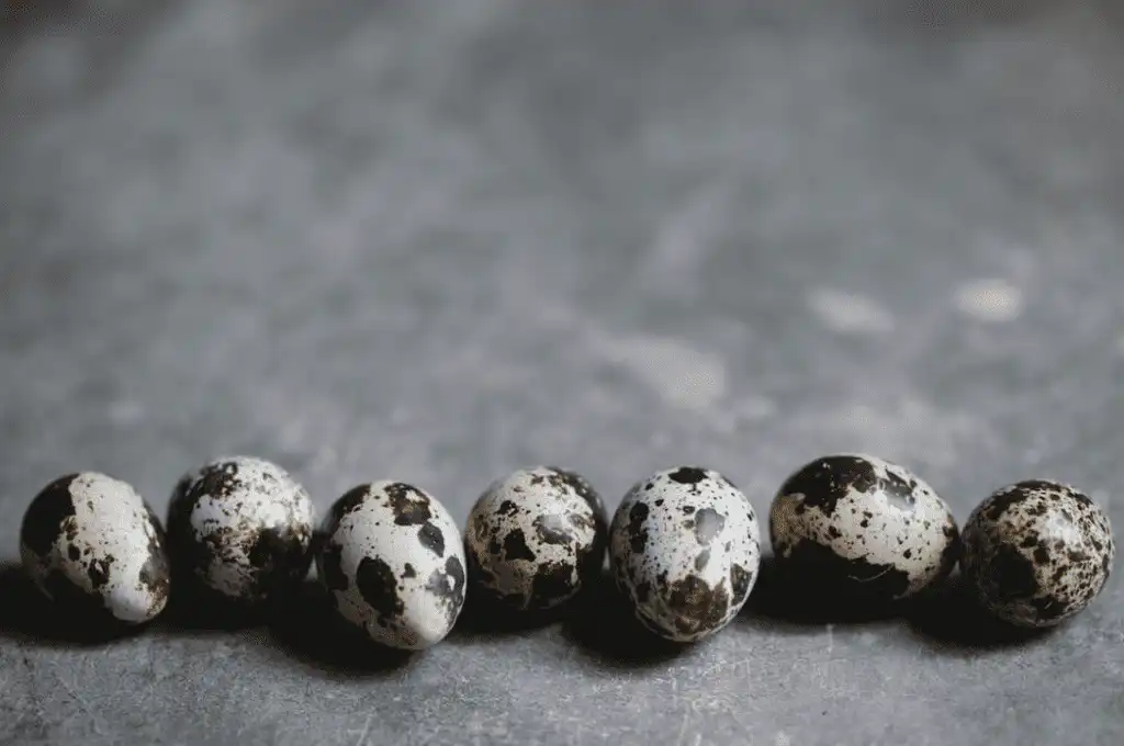 farm to table organic food