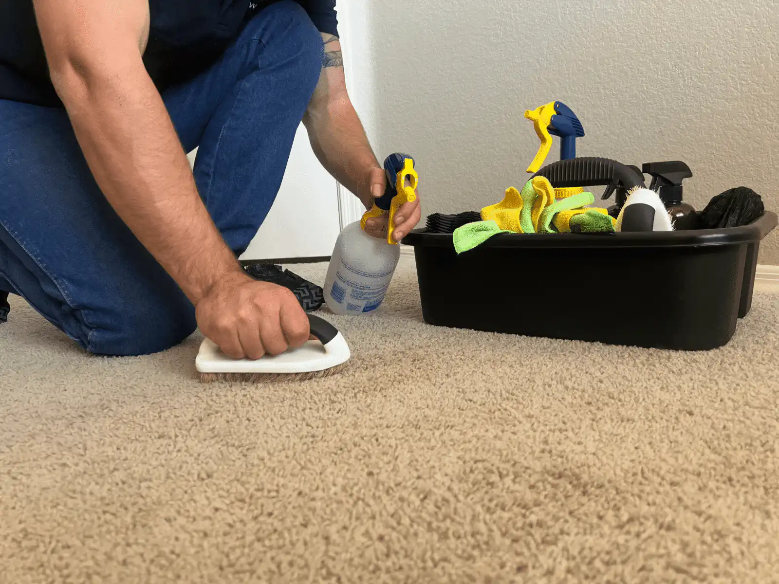 Qualified carpet cleaning experts in Surprise Arizona