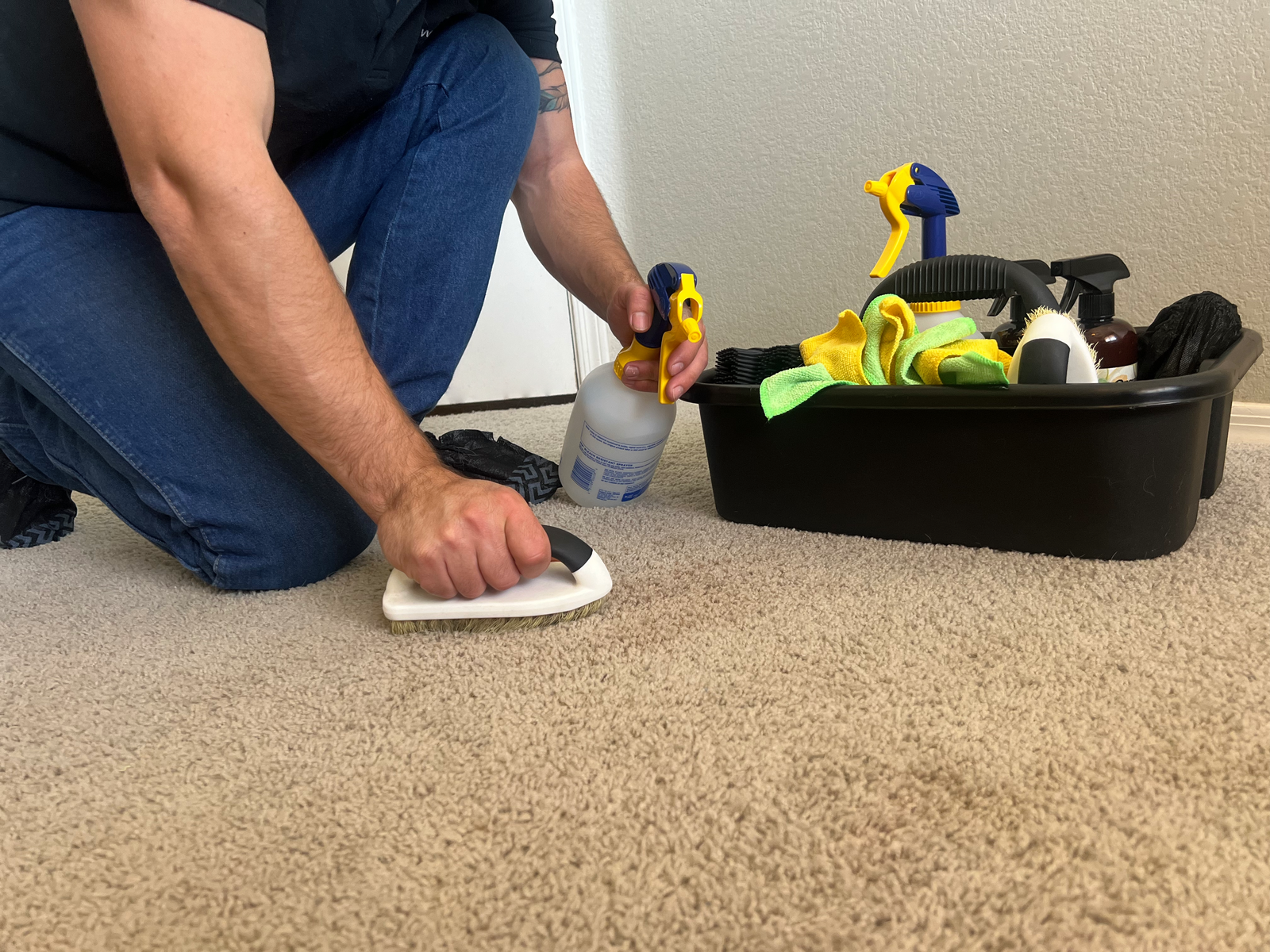 Citrus area rug cleaning avondale