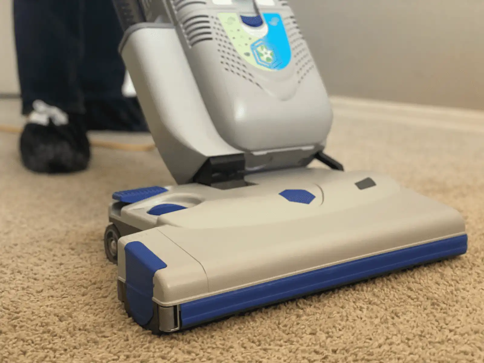 On-time carpet cleaning service in Phoenix