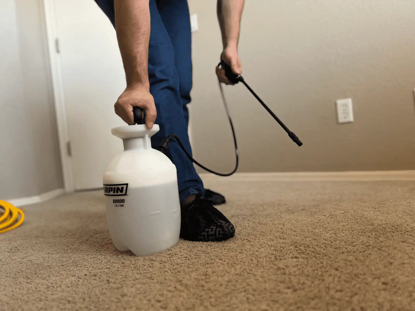 Reliable family-owned carpet and upholstery cleaning