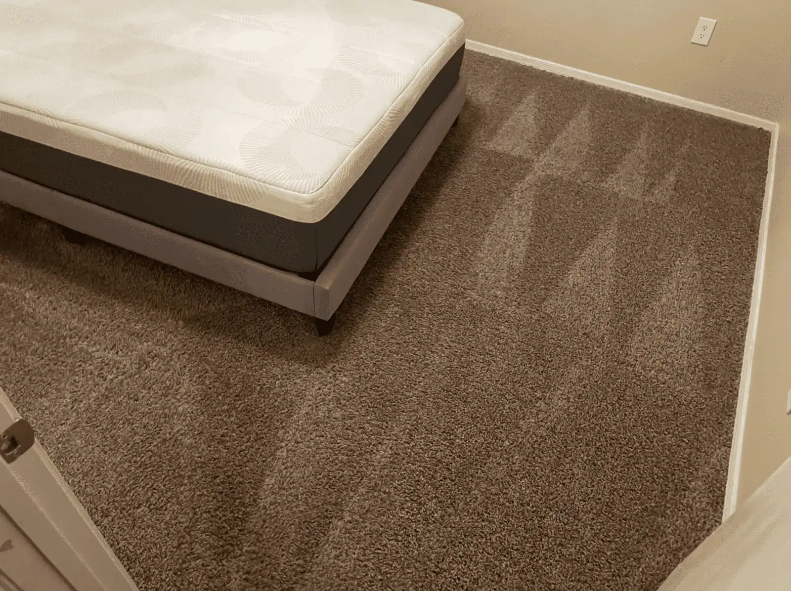 Organic carpet cleaning results - bedroom Phoenix AZ