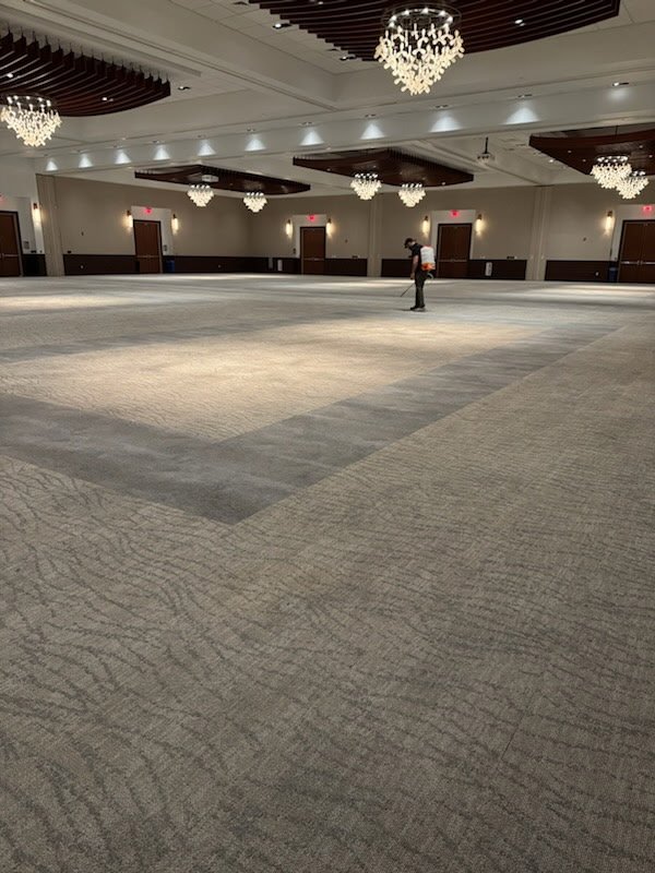 Professional organic commercial carpet cleaning service in Phoenix Arizona