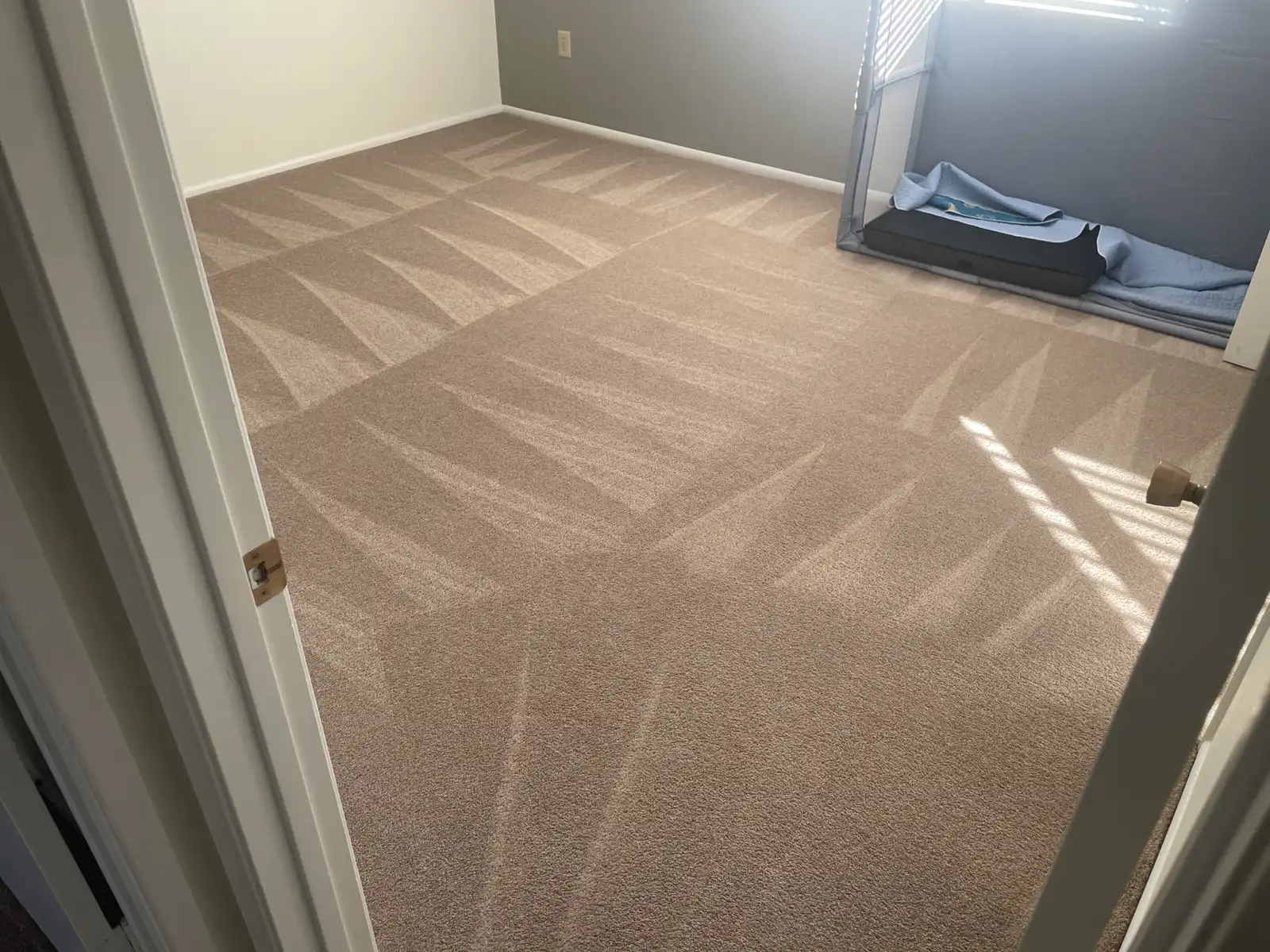 Before and after bedroom carpet cleaning in Buckeye single story home showing Arizona dust in pile removed