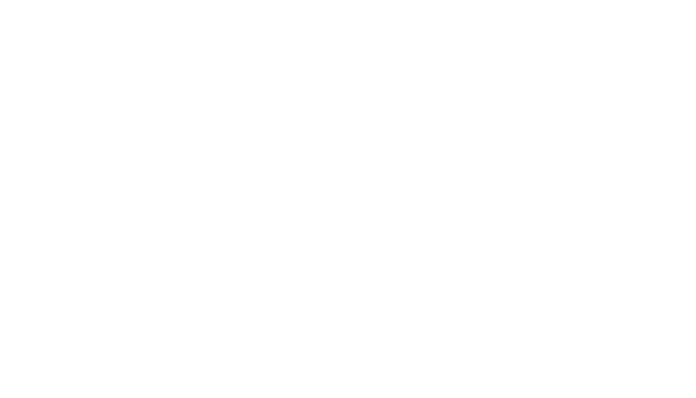 Special Attention Services