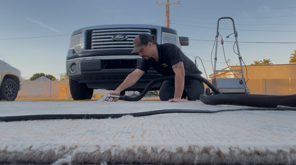 Extracting dog urine in wool carpet