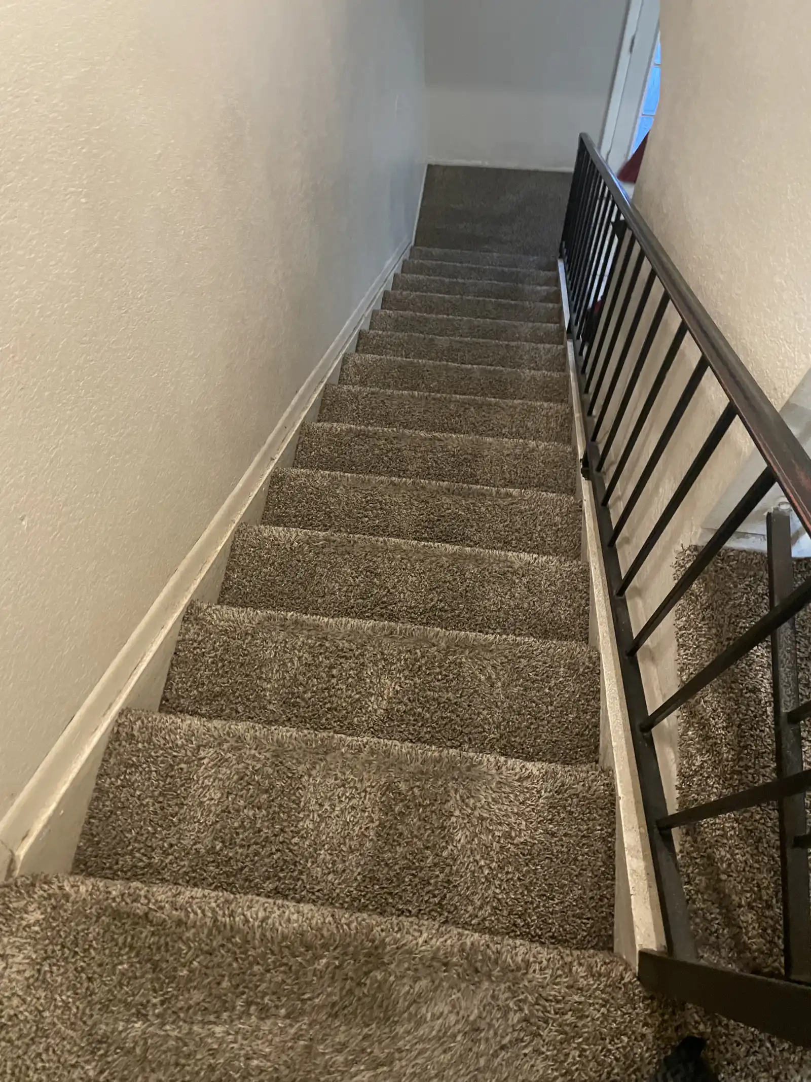 Organic carpet cleaning results - stairs Phoenix AZ