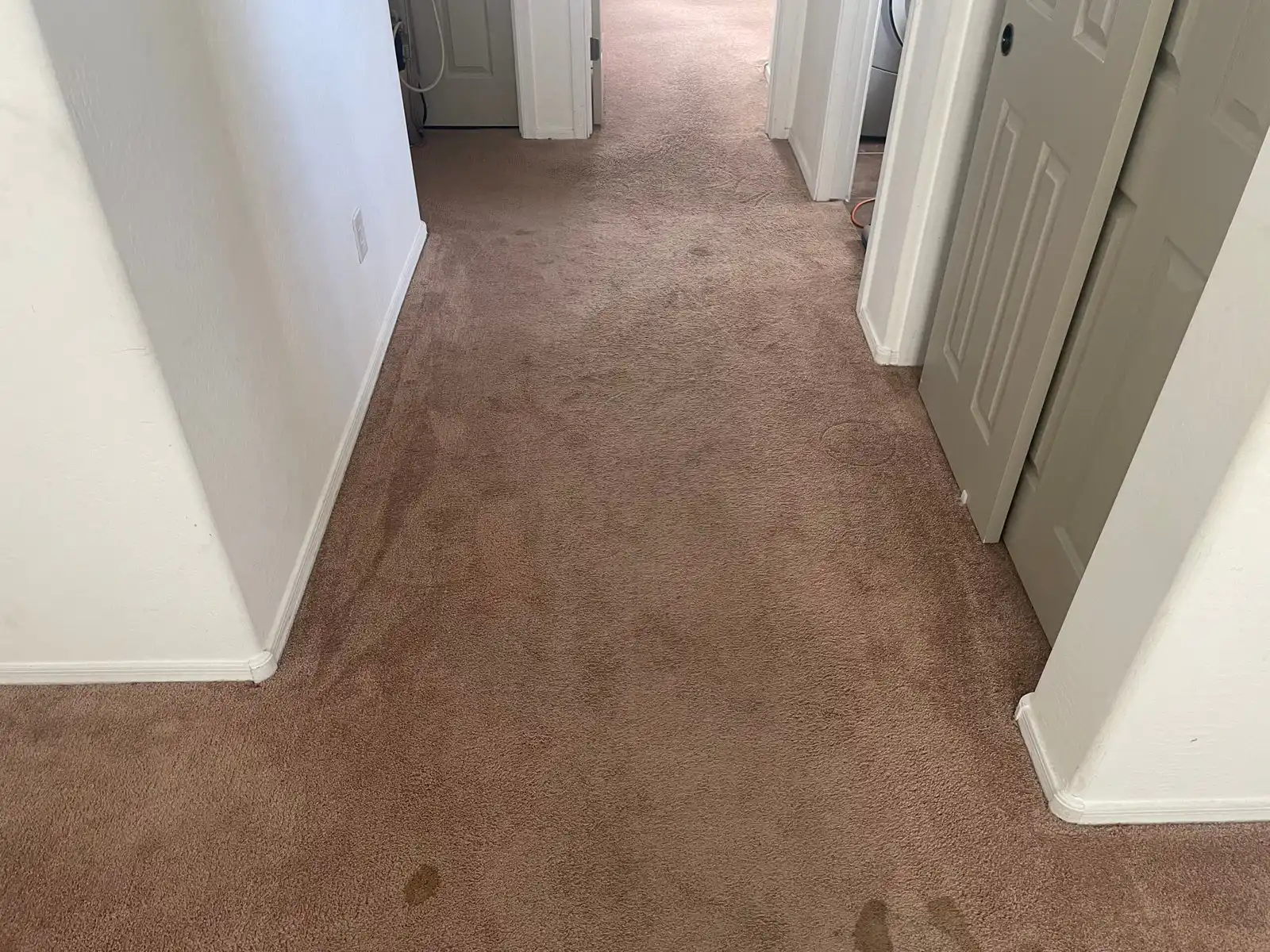 Before and after cleaning results