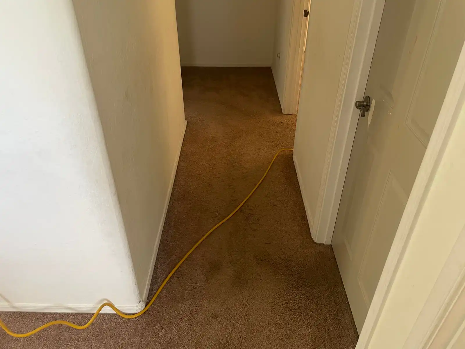Before and after cleaning results
