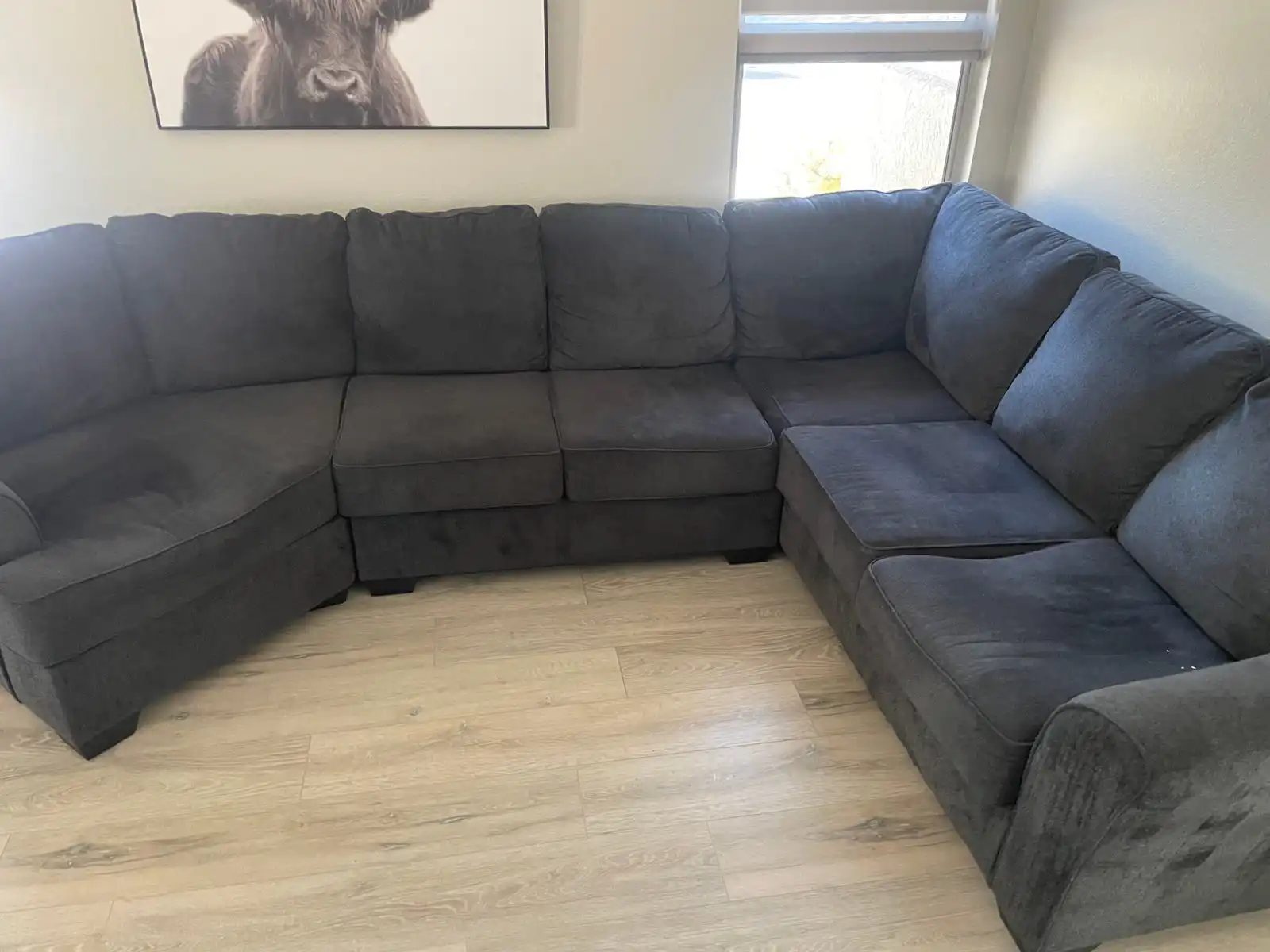 Before and after modular sectional cleaning results