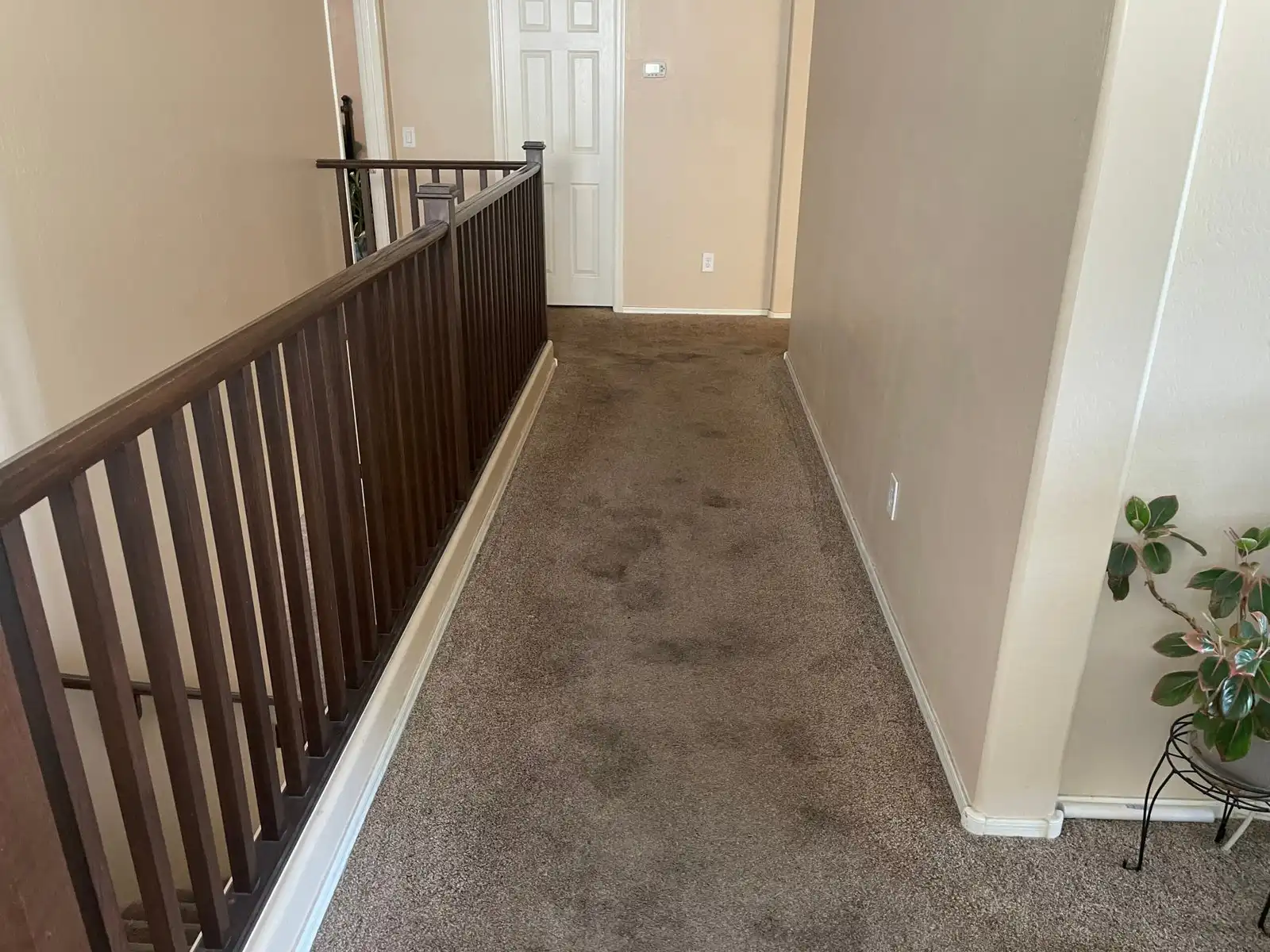 Before and after hallway carpet cleaning results